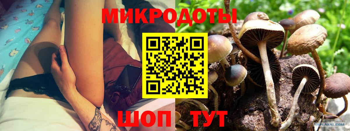 Галлюциногенные грибы мицелий Кировск